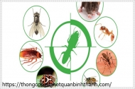 Cách diệt đuổi gián và côn trùng