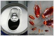 Cách diệt gián bằng bia
