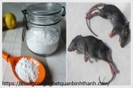 Cách đuổi chuột bằng bột mì