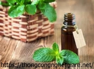 Tinh dầu thơm để nhà vệ sinh thông dụng nhất