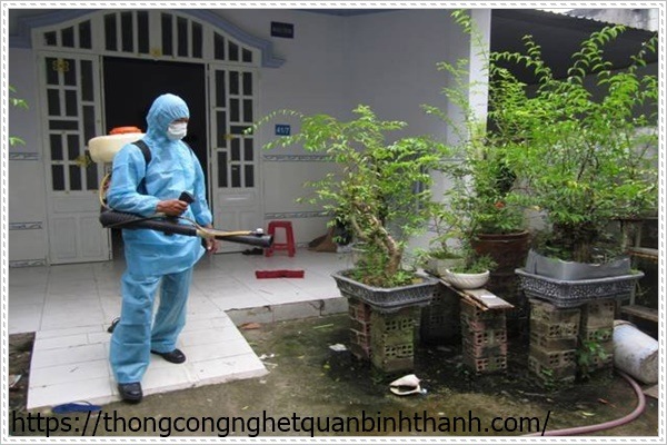 Diệt gián dưới cống hiệu quả