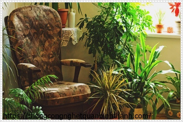 Diệt c&ocirc;n tr&ugrave;ng trong đất trồng c&acirc;y bằng c&aacute;ch vệ sinh sạch sẽ
