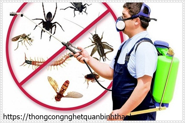 Dùng hóa chất để tiêu diệt côn trùng trong nhà vệ sinh