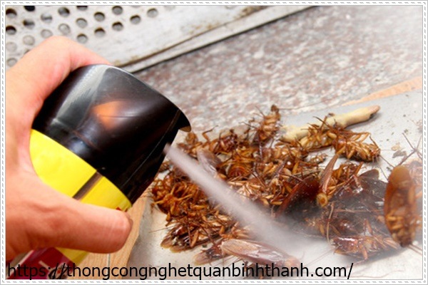 cách để diệt gián dưới cống