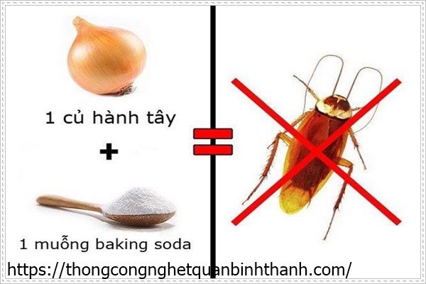 dùng hành tây để diệt đuổi gián và côn trùng