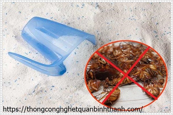 Diệt gián bằng bột giặt hiệu quả