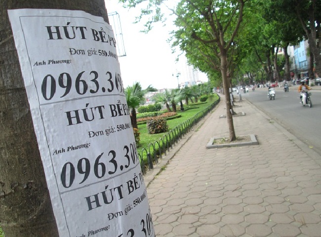 canh bao dich vu nao vet ho ga lua dao