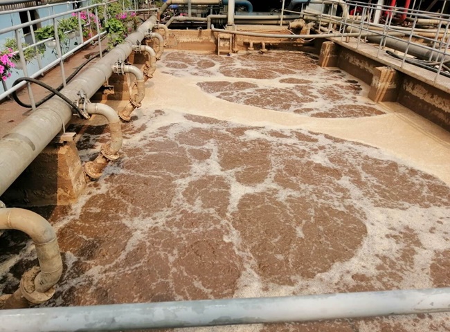 Vận chuyển b&ugrave;n vi sinh quận Ph&uacute; Nhuận